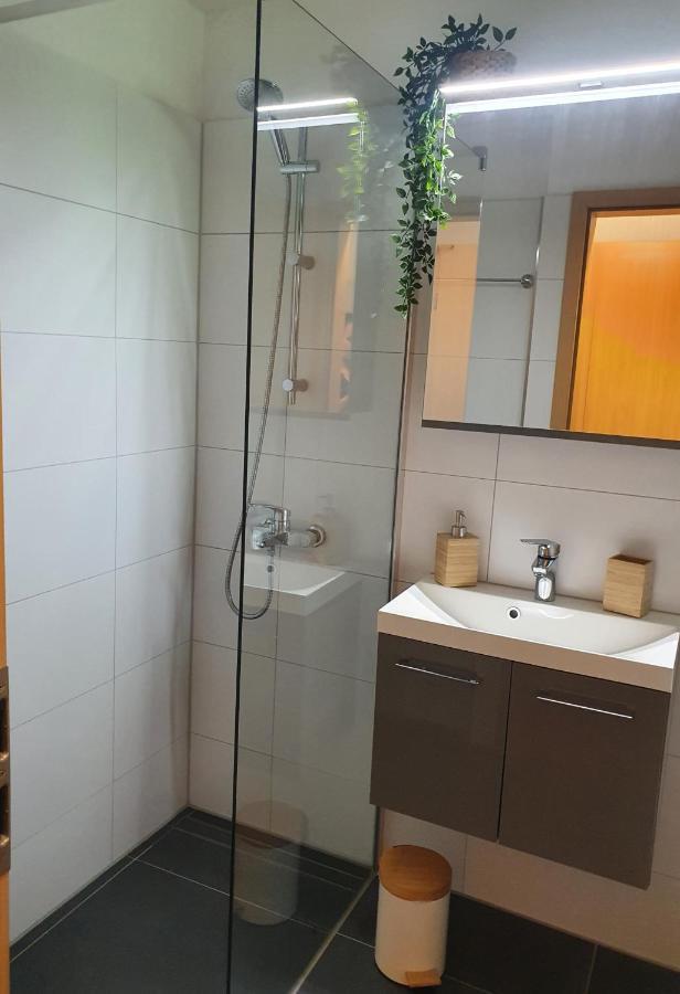 Modernisierte Ferienwohnung Naturseelen Mit Schwimmbad Und Sauna Braunlage Eksteriør bilde