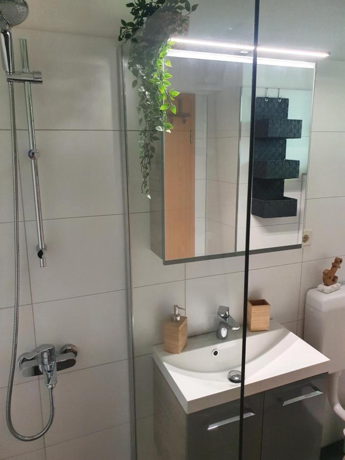 Modernisierte Ferienwohnung Naturseelen Mit Schwimmbad Und Sauna Braunlage Eksteriør bilde