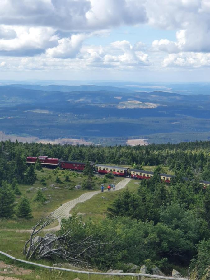 Modernisierte Ferienwohnung Naturseelen Mit Schwimmbad Und Sauna Braunlage Eksteriør bilde