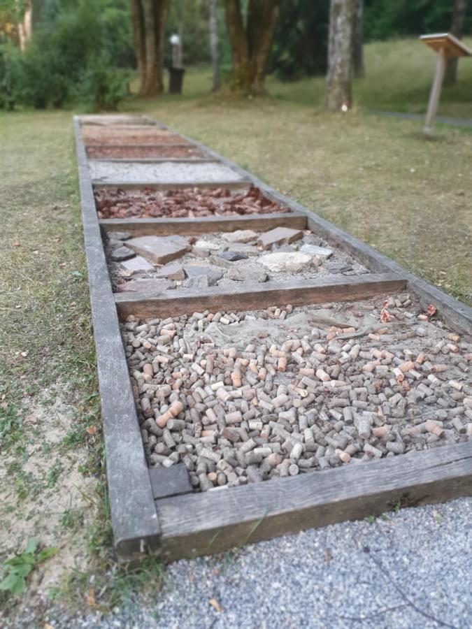Modernisierte Ferienwohnung Naturseelen Mit Schwimmbad Und Sauna Braunlage Eksteriør bilde