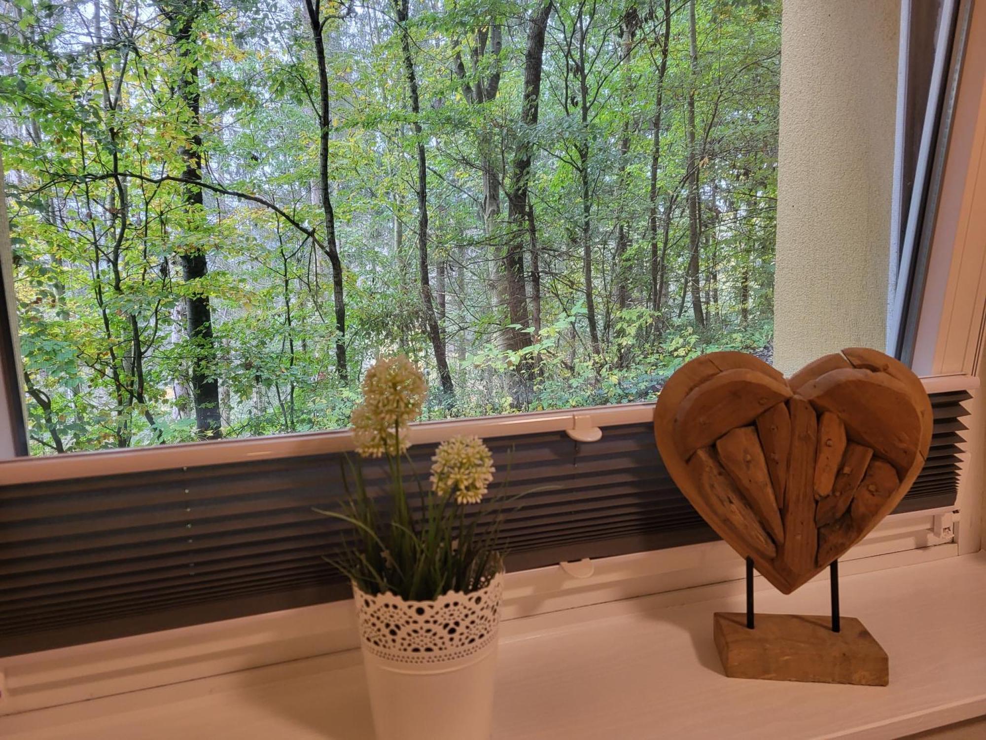 Modernisierte Ferienwohnung Naturseelen Mit Schwimmbad Und Sauna Braunlage Eksteriør bilde