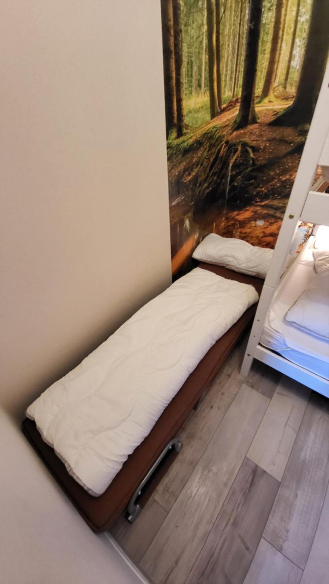 Modernisierte Ferienwohnung Naturseelen Mit Schwimmbad Und Sauna Braunlage Eksteriør bilde
